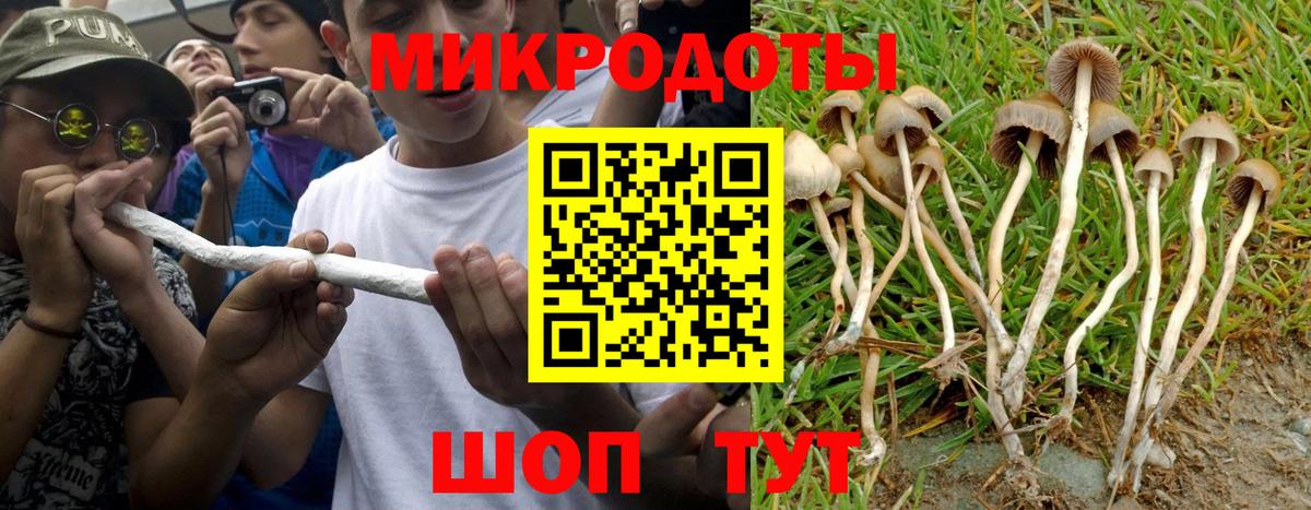 Псилоцибиновые грибы GOLDEN TEACHER  Псилоцибиновые грибы прущие грибы  Вход с VPN  Апатиты 